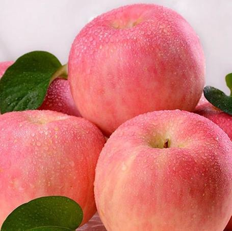 孕期各阶段胎儿发育水果图,冬季初孕期合适吃什么水果最好