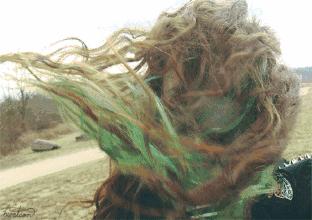 抗十级大风的刘海,对抗横风的方法