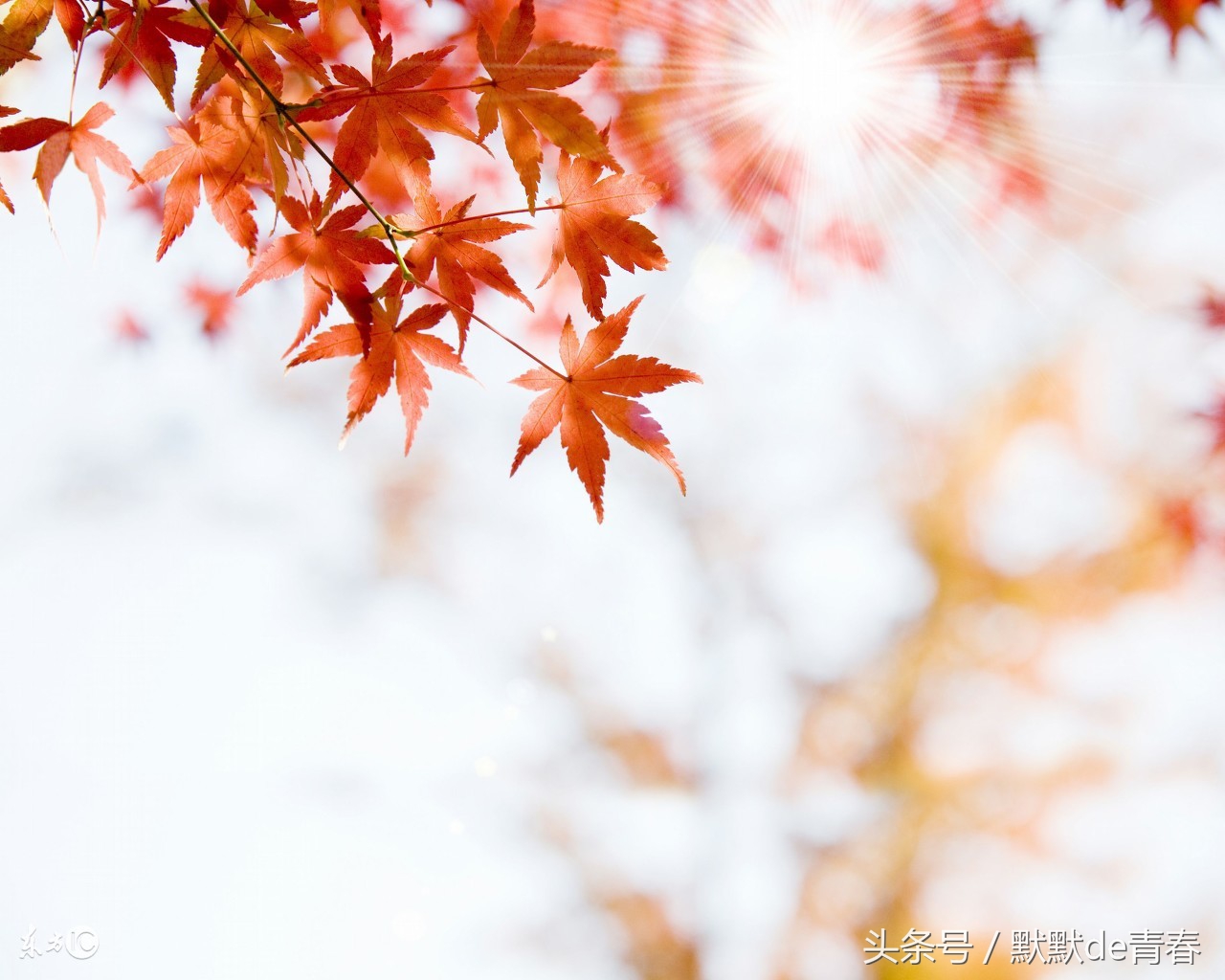 合适做手机铃声的歌曲推荐中文,合适做手机铃声的歌女生名单