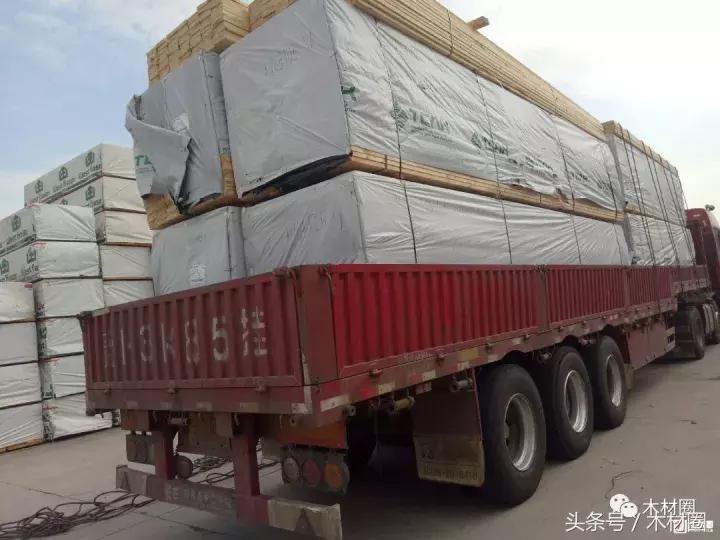 国内木材行业为什么如此低迷,国内木材市场各品类木材价格一览