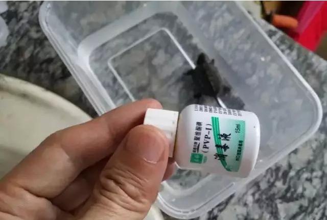 乌龟下蛋时要用什么东西帮它孵化,乌龟孵化过程中为什么出现变异