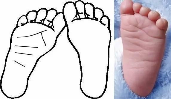 手相脚相对照表,看过完全的手相