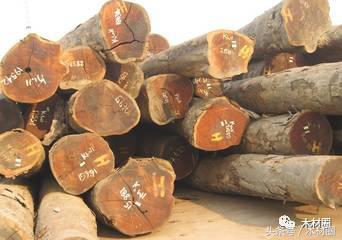 关于木材涨价的通知,木材缺货最新消息