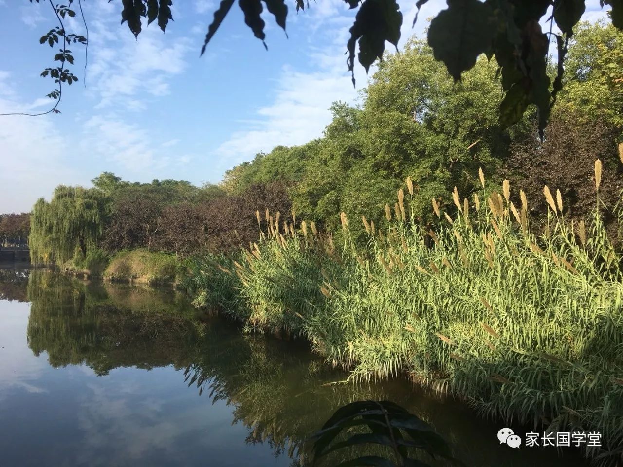 程颢秋日偶成体现的人格理想,秋日偶成中程颢的人生态度