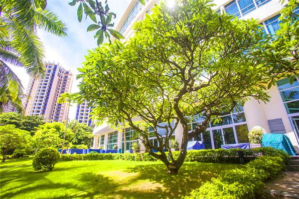 三亚的日照与海滩,遇见日照沙滩三亚