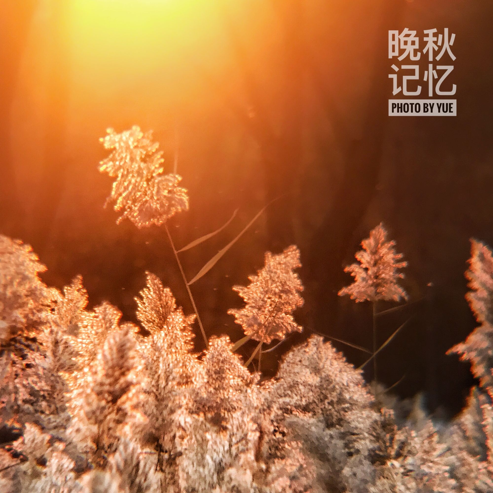 小米照片后期添加时间水印,苹果照片后期添加时间水印