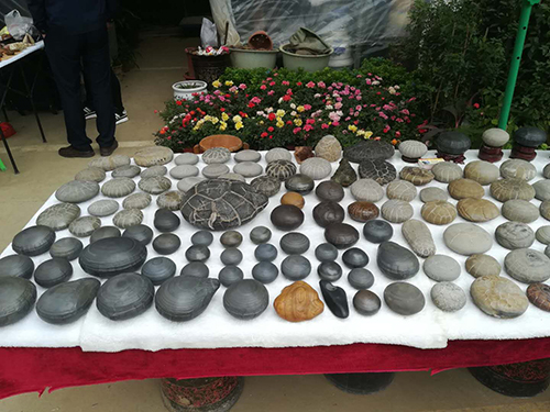 这几天在哪里挖玉石,这几天哪里能够捡玉石啊