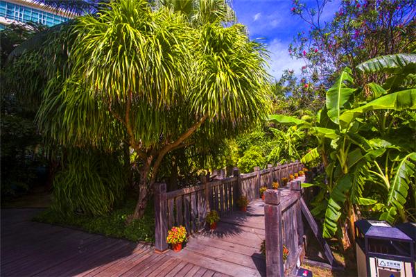 三亚的日照与海滩,遇见日照沙滩三亚