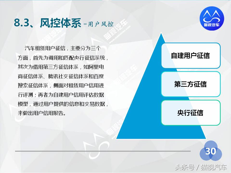 2014年汽车租赁行业分析报告,2020中国汽车租赁