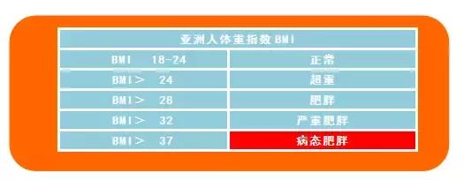 怎么减肥才能把肉肉减下来,养瘦健康减肥