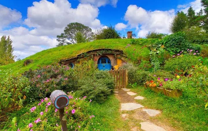 王凯、韩庚、邓紫棋、谢霆锋……明星最近为什么都去新西兰？