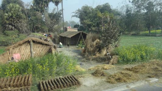 释迦牟尼说生命中该出现什么,释迦牟尼看见众生生老病死