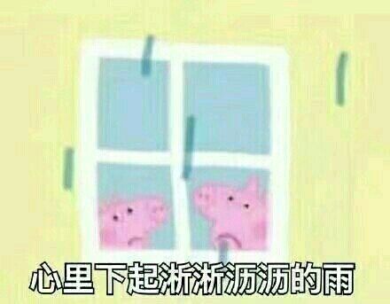 小猪佩奇逗人开心表情包,最新小猪佩奇的表情包