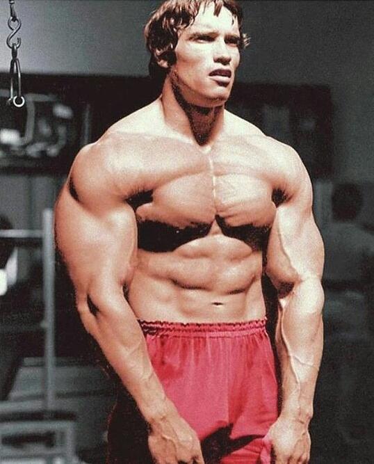 胸肌外侧线条怎么练,胸肌怎么练看不到锁骨