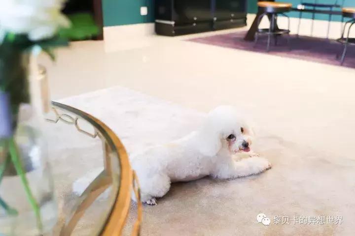 甯﹁。甯介棿鍜屾荡缂哥殑鎴垮瓙,琛ｅ附闂村洓鑴氭荡缂告晥鏋滃浘