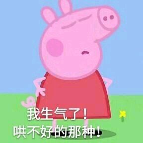 小猪佩奇逗人开心表情包,最新小猪佩奇的表情包