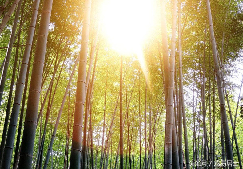 命理简批-农历1973年4月28日午时乾造（四川攀枝花米易）