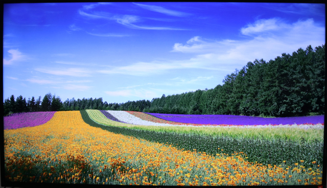 富可视infocus投影机使用教程,infocus富可视50英寸电视刷机