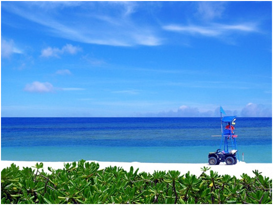 丽星邮轮双子星号有几米长,丽星邮轮双子星号行程