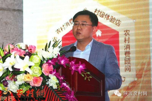 乐村淘互联网超市,乐村淘网络科技