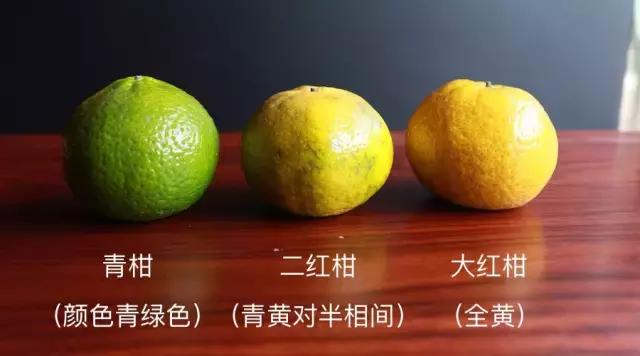 哪一种橘子皮是中药陈皮,一个橘子皮怎么会叫陈皮