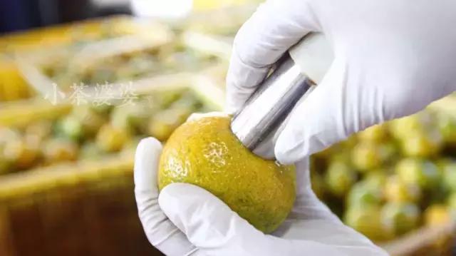 哪一种橘子皮是中药陈皮,一个橘子皮怎么会叫陈皮