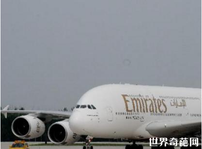 长荣航空staralliance飞机,长荣航空hellokitty星空机