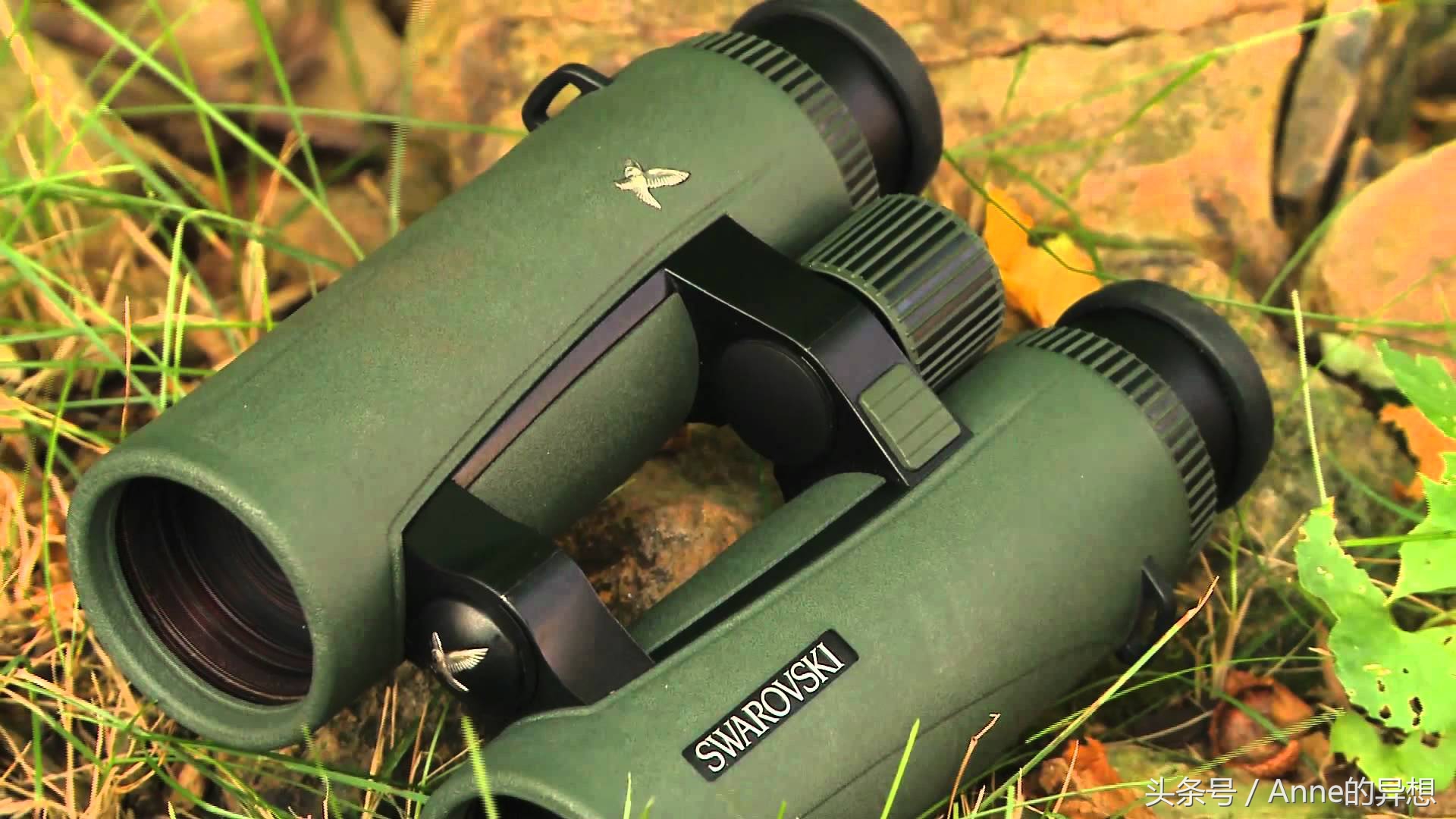 第一个施华洛世奇,第一个logo是什么