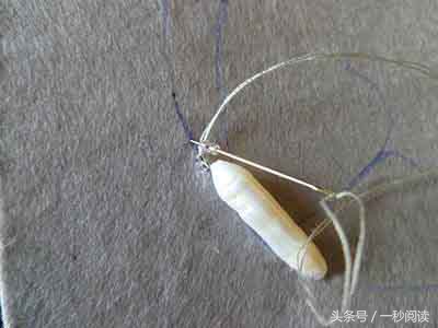 淡水珍珠串珠蝴蝶,羽毛串珠珍珠胸针