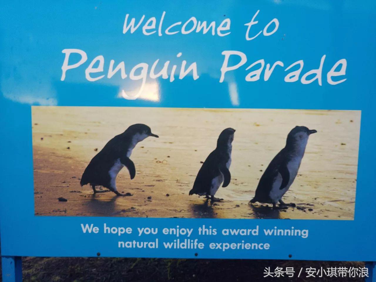 墨尔本四天三晚怎样玩,慢游全世界墨尔本