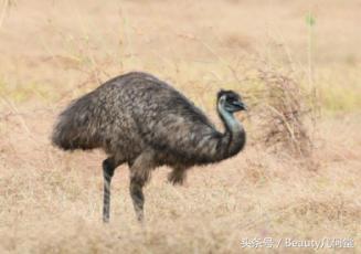敏感肌过冬怎么护肤好用,过冬护肤好物推荐