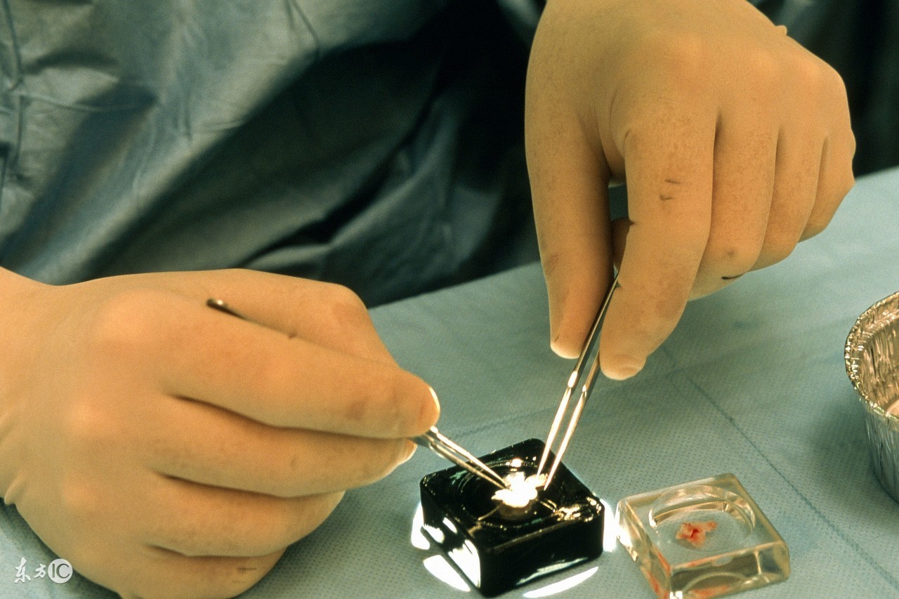 分享好孕过程和小经验心得,好孕分享完全版