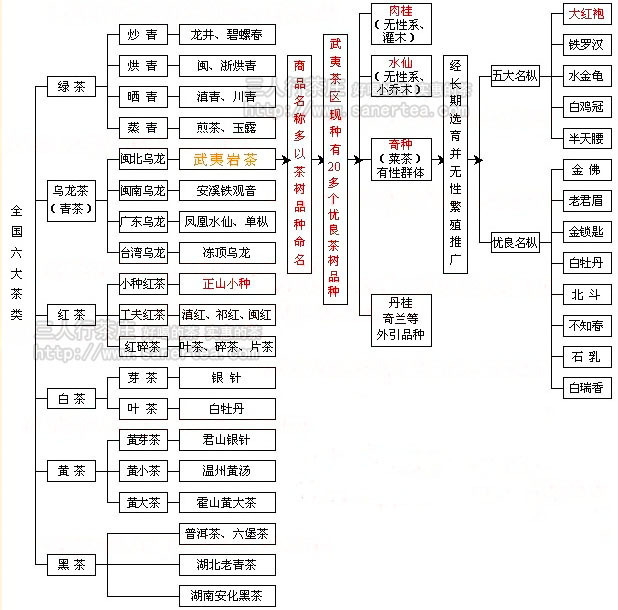 真假大红袍,真假大红袍茶叶鉴别方法