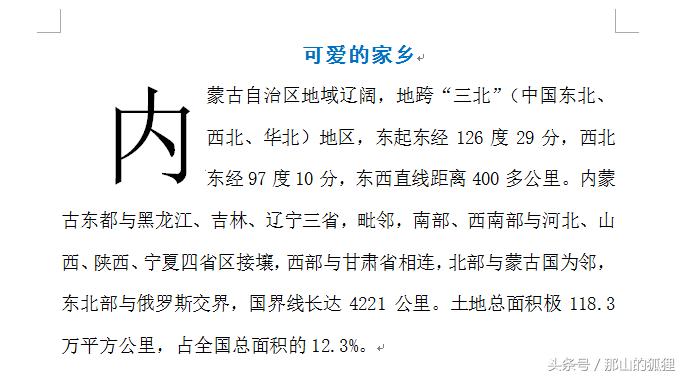 word文档排版我的家乡,2010word格式