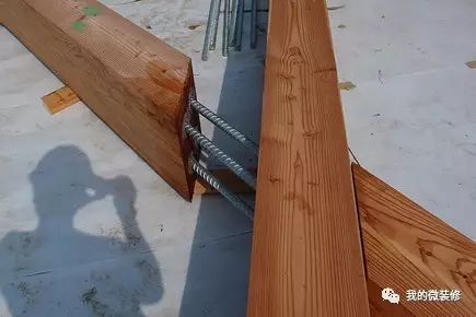 家里有一棵神树,家里有棵吉祥树