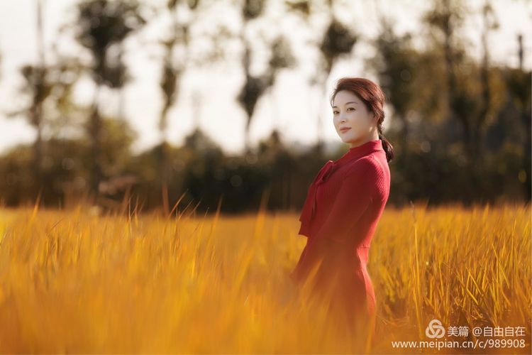 十里稻花香的全诗,十里稻花香的上一句