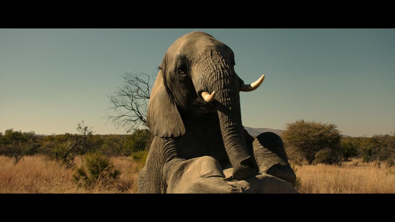 搞笑贱谍联手拯救世界，这片子能把人笑死