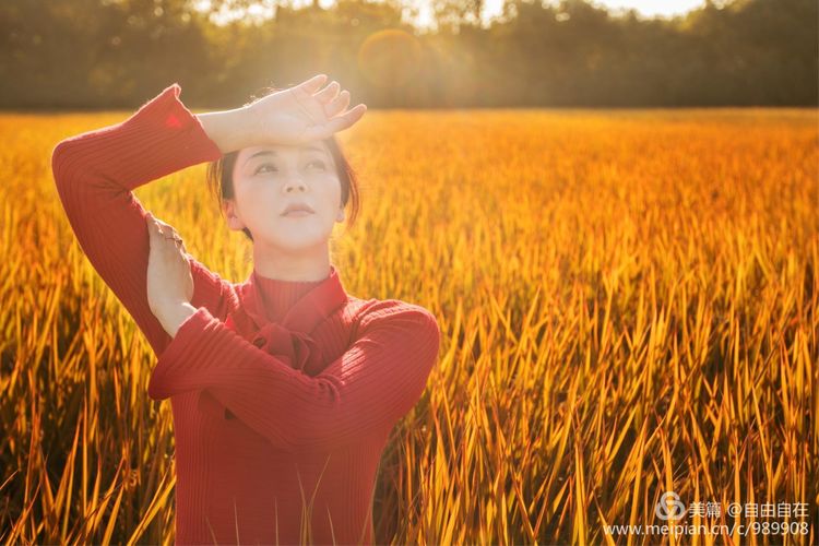 十里稻花香的全诗,十里稻花香的上一句