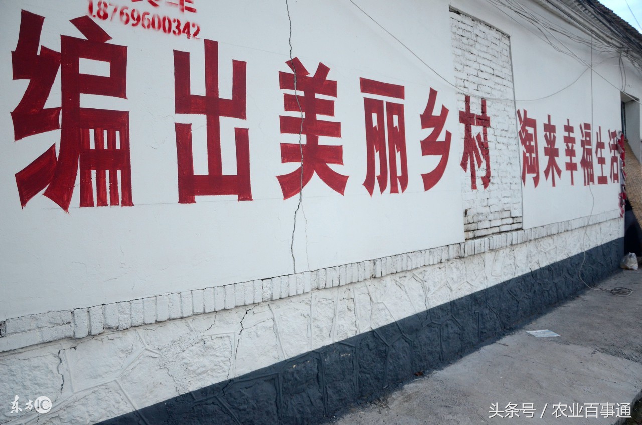 农村自己致富项目,农村种地致富项目