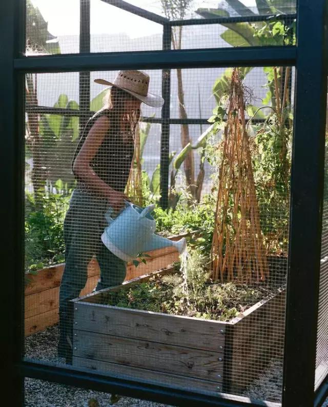 回归田园梦想中的生活,回归田园过上简单生活