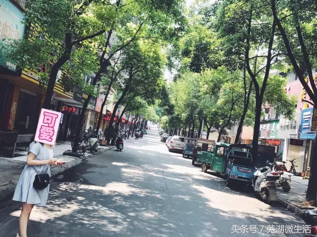 蚌埠最大中学,蚌埠目前最好的中学