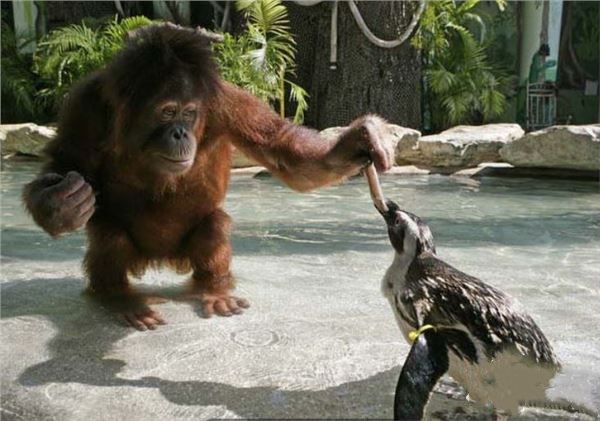 让人觉得神奇的冷门知识，真的很让人涨姿势