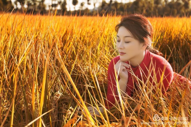 十里稻花香的全诗,十里稻花香的上一句