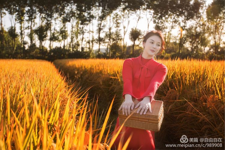 十里稻花香的全诗,十里稻花香的上一句