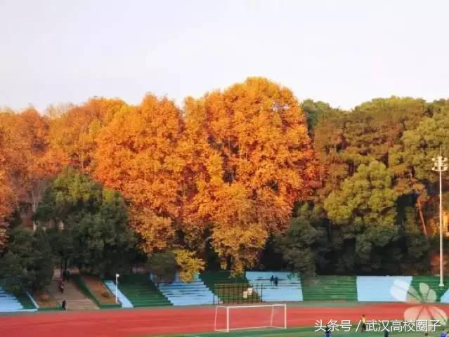 武汉大学和华中师大哪个女生漂亮,湖北女生最多的10所高校