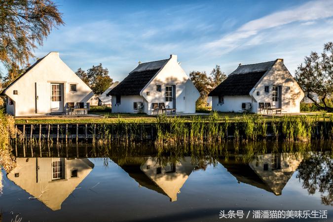 来自普罗旺斯的薰衣草,普罗旺斯薰衣草的味道