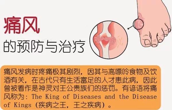 薏米桑枝核桃治痛风,痛风能够喝薏米茶吗