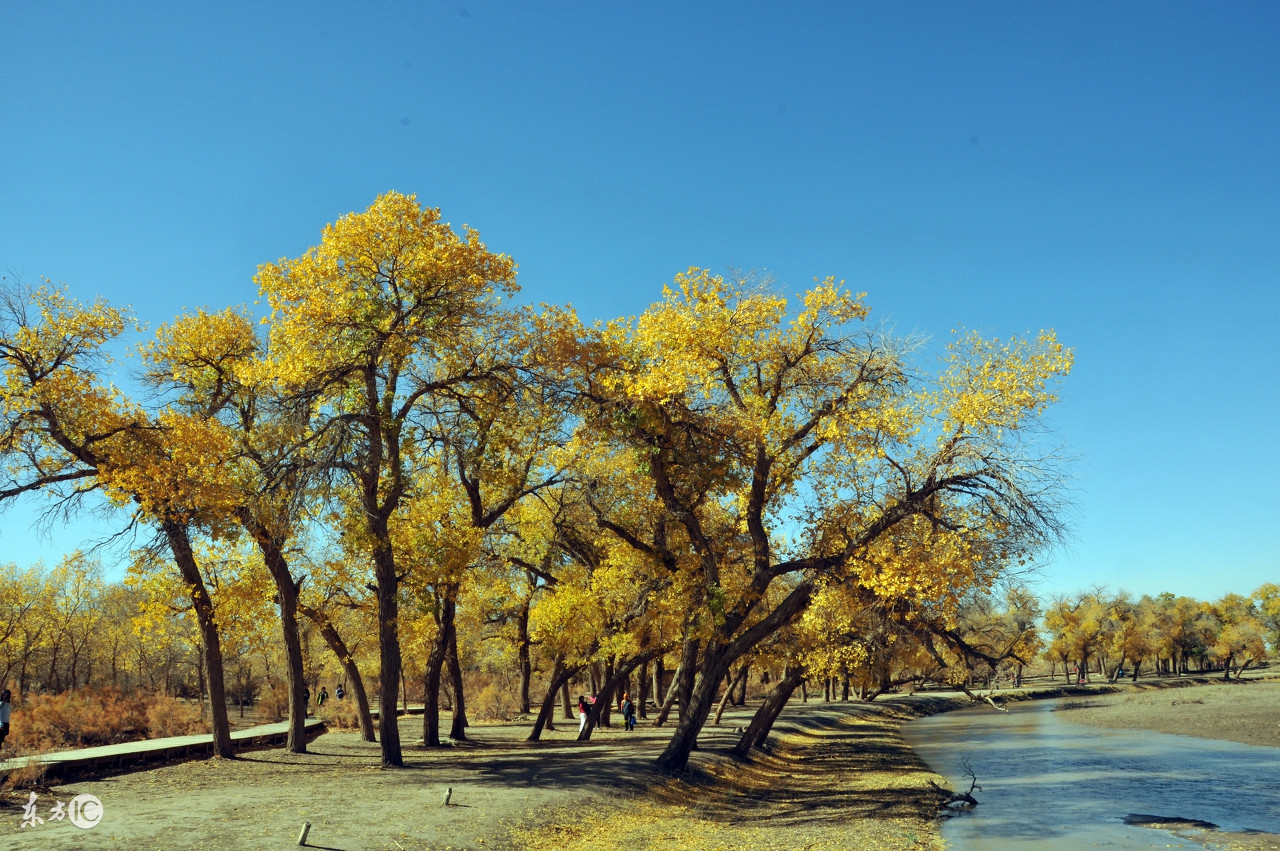 生肖蛇和生肖羊配婚,生肖蛇和生肖羊的婚配能够吗