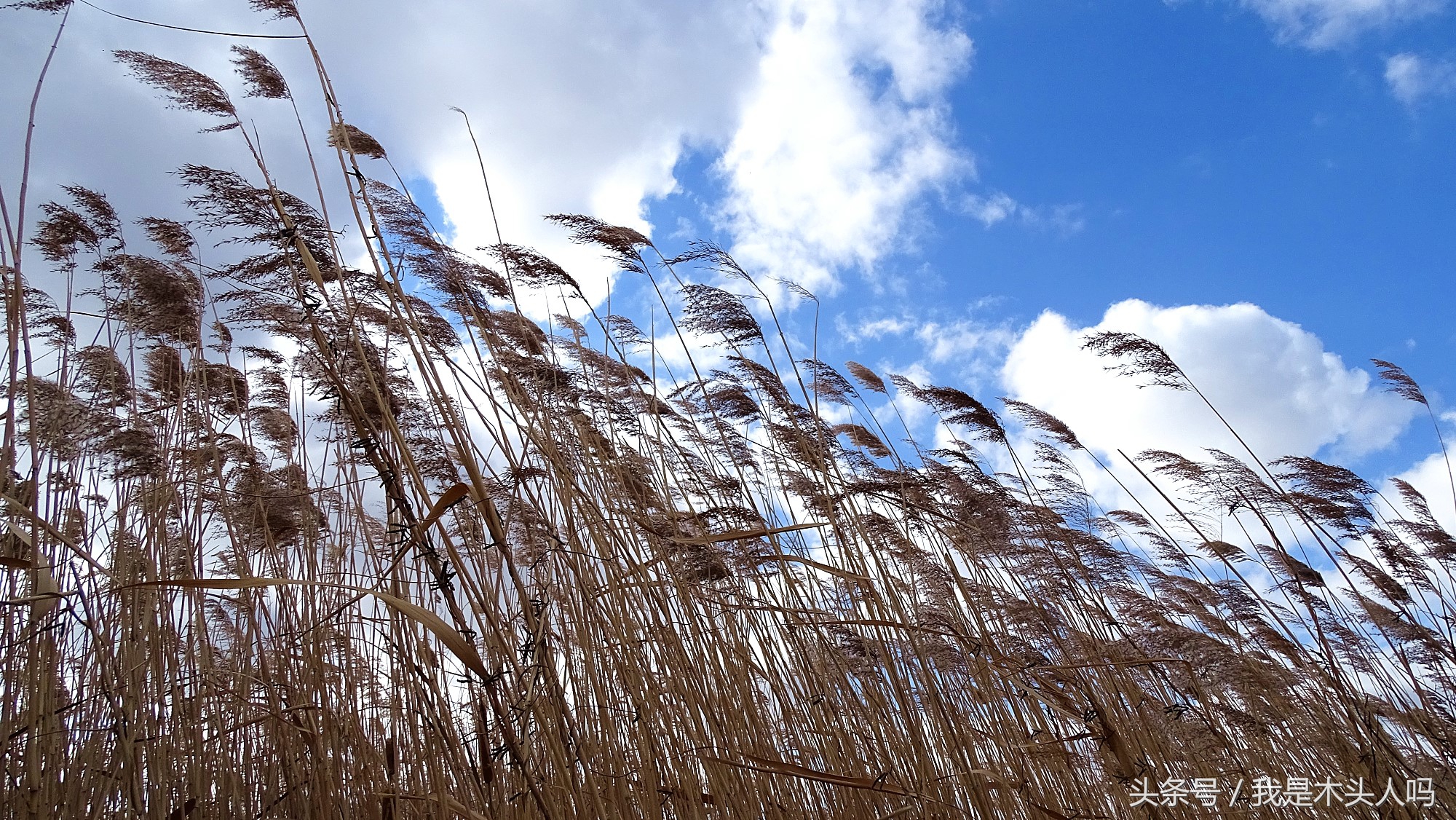 沈阳浑南创新天地,沈阳创新天地图片