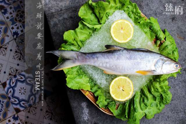 科普厦门海鲜市场,厦门哪里海鲜批发市场海鲜便宜